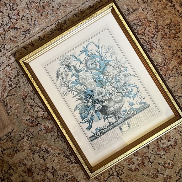 Vtg SEPTEMBER from Twelve Months of Flowers by Robert Furber (C.1674-1756)CANADA - Picture 12 of 15